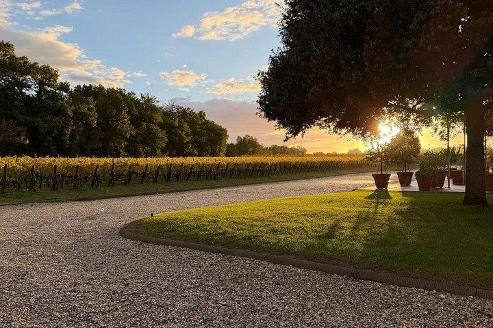 Montepulciano Guided Wine Tour: Three Vino Nobile Estates, Tastings, Lunch at the Second (4/9)