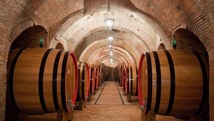 Wine Tasting with Typical Tuscan Lunch in an Ancient Cellar, Talosa, Montepulciano (2/8)
