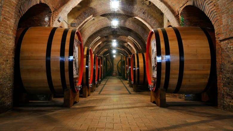 Two-Winery Walking Tour from Piazza Grande, Montepulciano: Oak-Barrel Cellars, 2.5 Hours (1/7)