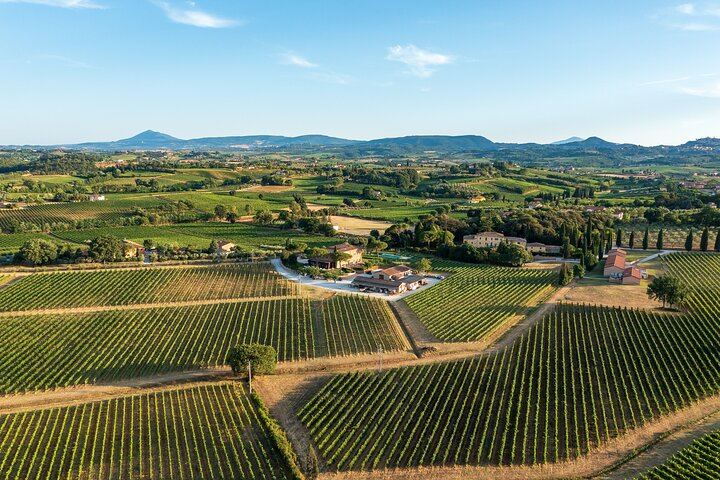 Montepulciano Winery Visit and Cellar Tour with Three Wines and a Tuscan Cold Cuts Board (10/12)