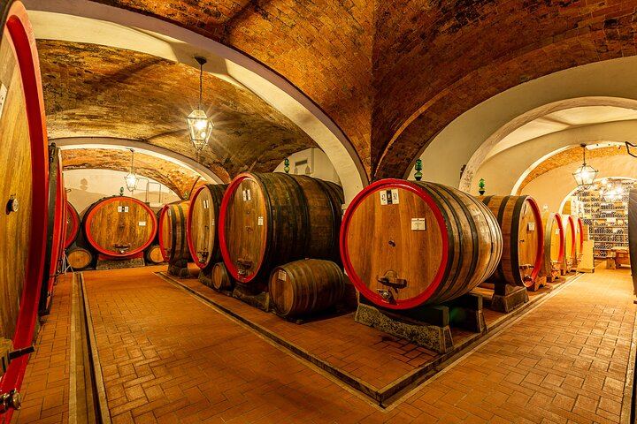 Montepulciano Winery Visit and Cellar Tour with Three Wines and a Tuscan Cold Cuts Board (9/12)