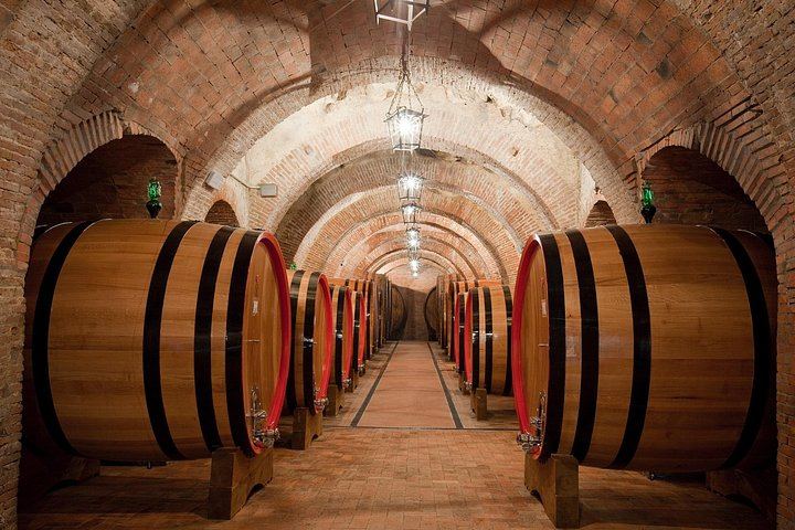 Wine Tasting with Typical Tuscan Lunch in an Ancient Cellar, Talosa, Montepulciano (2/8)
