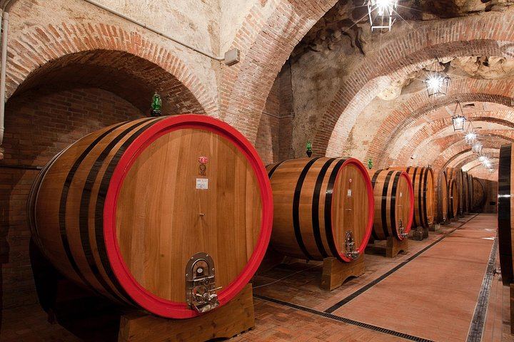 Wine Tasting with Typical Tuscan Lunch in an Ancient Cellar, Talosa, Montepulciano (7/8)