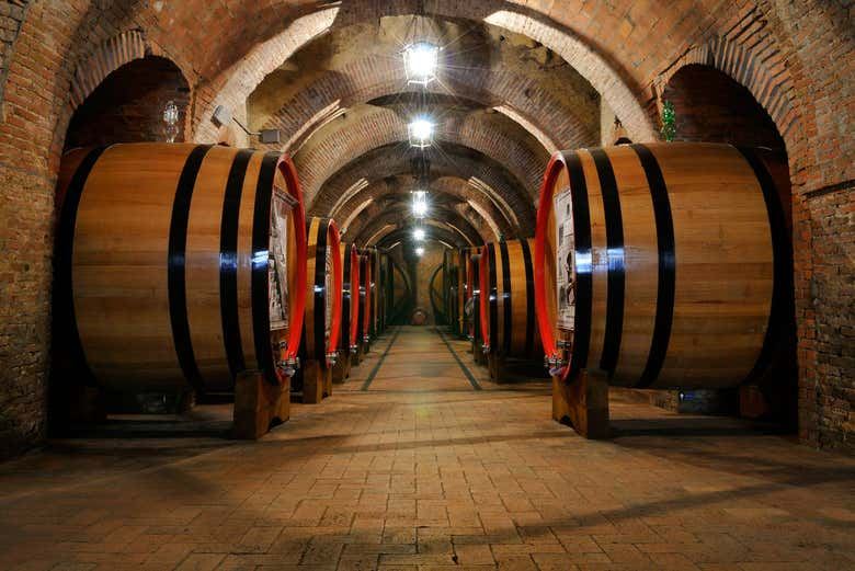 Two-Winery Walking Tour from Piazza Grande, Montepulciano: Oak-Barrel Cellars, 2.5 Hours (1/7)