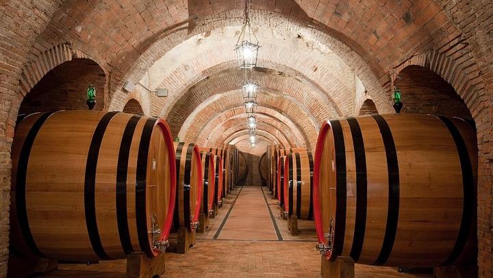 Talosa Cantina Storica, Montepulciano: Cellar Visit, Etruscan Tomb and Four-Wine Tasting (1/9)