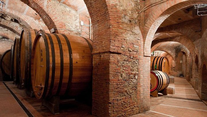 Talosa Cantina Storica, Montepulciano: Cellar Visit, Etruscan Tomb and Four-Wine Tasting (2/9)