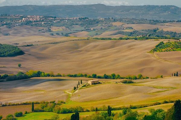 Wine Tasting with Typical Tuscan Lunch in an Ancient Cellar, Talosa, Montepulciano