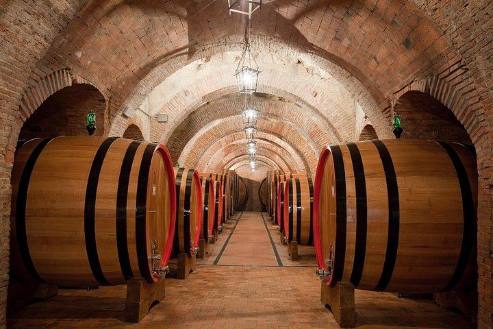 Talosa Cantina Storica, Montepulciano: Cellar Visit, Etruscan Tomb and Four-Wine Tasting (1/9)