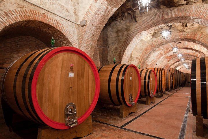 Talosa Cantina Storica, Montepulciano: Cellar Visit, Etruscan Tomb and Four-Wine Tasting (5/9)