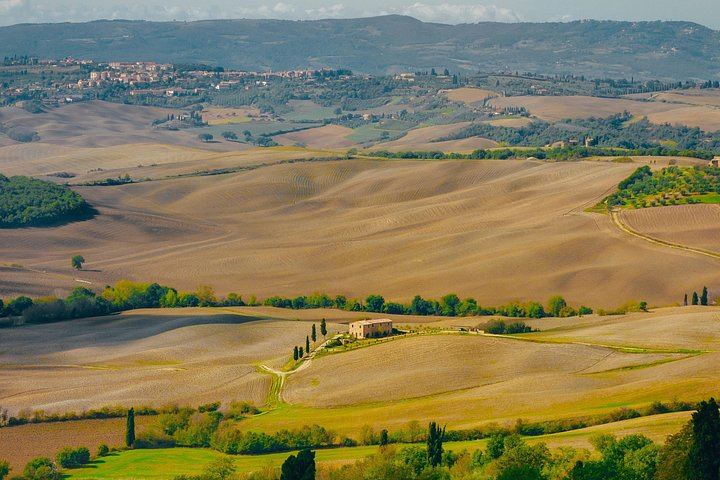 Talosa Cantina Storica, Montepulciano: Cellar Visit, Etruscan Tomb and Four-Wine Tasting (9/9)