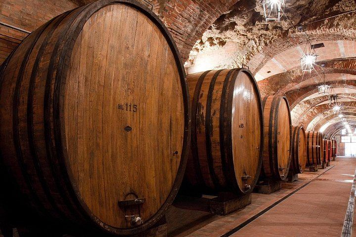 Wine Tasting with Typical Tuscan Lunch in an Ancient Cellar, Talosa, Montepulciano (6/8)