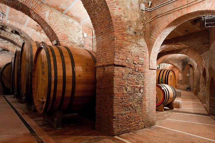 Talosa Cantina Storica, Montepulciano: Cellar Visit, Etruscan Tomb and Four-Wine Tasting (2/9)