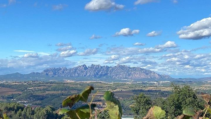Private Montserrat and Sant Sadurní Cava Day Trip with a Former Winery PR Manager as Guide (4/6)