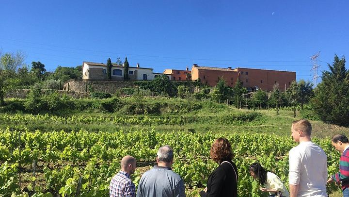 Private Montserrat and Sant Sadurní Cava Day Trip with a Former Winery PR Manager as Guide (2/6)