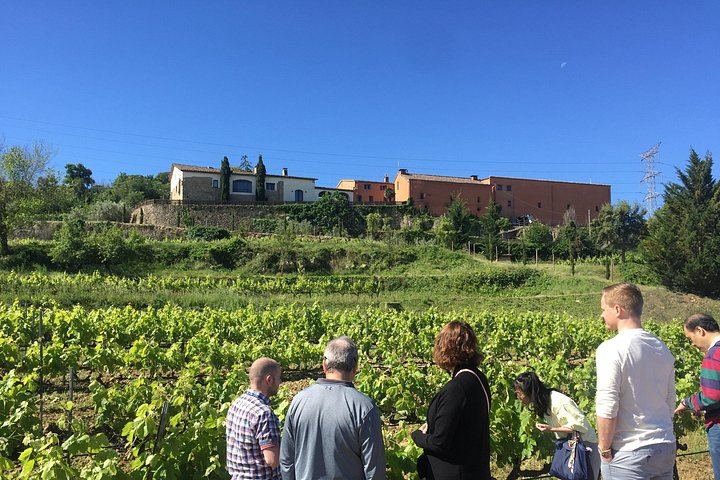 Private Montserrat and Sant Sadurní Cava Day Trip with a Former Winery PR Manager as Guide (2/6)