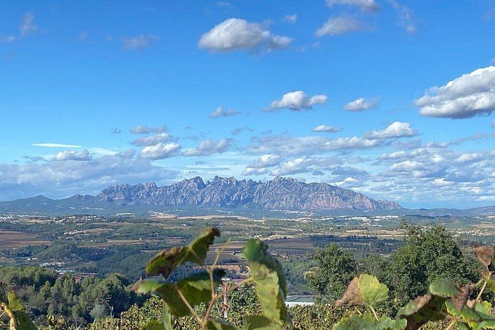 Private Montserrat and Sant Sadurní Cava Day Trip with a Former Winery PR Manager as Guide (4/6)