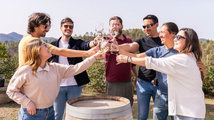 Montserrat Full Day by Cogwheel Train with Monks' Liquor Tasting and Bages Castle Winery (1/12)