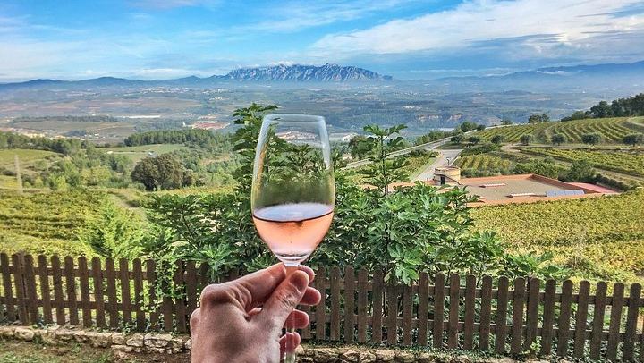 Private Day Trip: Codorniu Cava Cellars by Underground Train and Montserrat Abbey (2/12)
