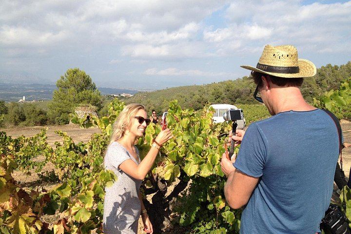 Private Day Trip: Codorniu Cava Cellars by Underground Train and Montserrat Abbey (6/12)