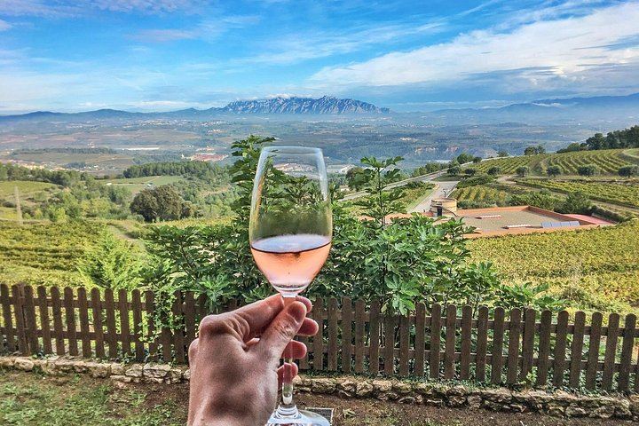 Private Day Trip: Codorniu Cava Cellars by Underground Train and Montserrat Abbey (2/12)