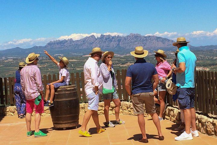 Private Day Trip: Codorniu Cava Cellars by Underground Train and Montserrat Abbey (4/12)
