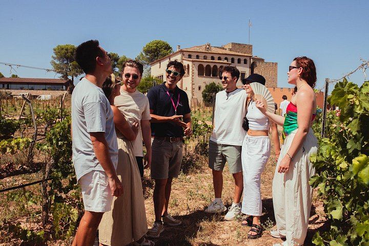 Montserrat Day Trip from Barcelona: Black Madonna, Castle Winery and Tapas or Lunch (11/12)