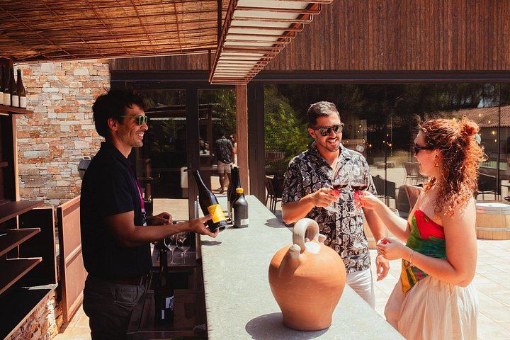 Montserrat Day Trip from Barcelona: Black Madonna, Castle Winery and Tapas or Lunch (7/12)