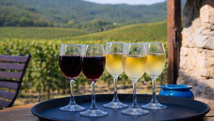 Montserrat and Sant Sadurni Cava Town Small-Group Tour, Max 8 Guests, Hotel Pickup (2/12)