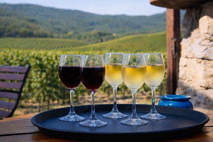 Montserrat and Sant Sadurni Cava Town Small-Group Tour, Max 8 Guests, Hotel Pickup (2/12)