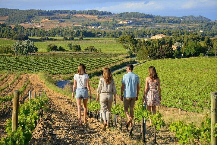 Montserrat and Sant Sadurni Cava Town Small-Group Tour, Max 8 Guests, Hotel Pickup (7/12)