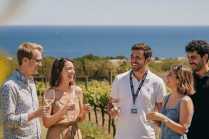 Montserrat and Sant Sadurni Cava Town Small-Group Tour, Max 8 Guests, Hotel Pickup (8/12)
