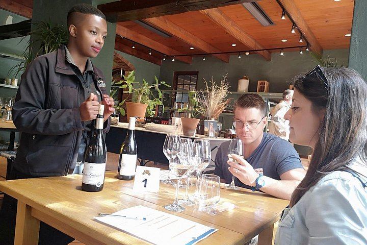 Private Wine Tour from Cape Town for 2 to 7 Guests: Stellenbosch, Franschhoek, Paarl (12/12)