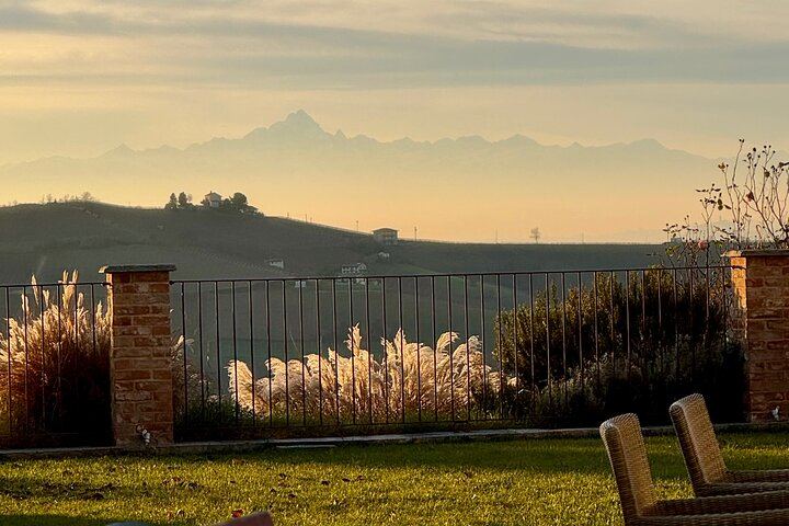 Private Tesla Wine Tour from Alba: Barolo and Barbaresco with Sommelier Pier and Chiara (7/12)