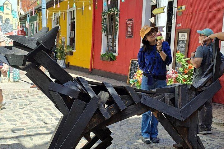 Valparaiso Hill Walk and Casablanca Valley Wine Tasting from Santiago (4/9)