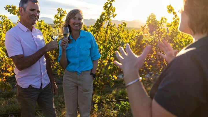 Guided Morning, Self-Guided Afternoon Bike Wine Tour from Rapaura, Marlborough (1/8)
