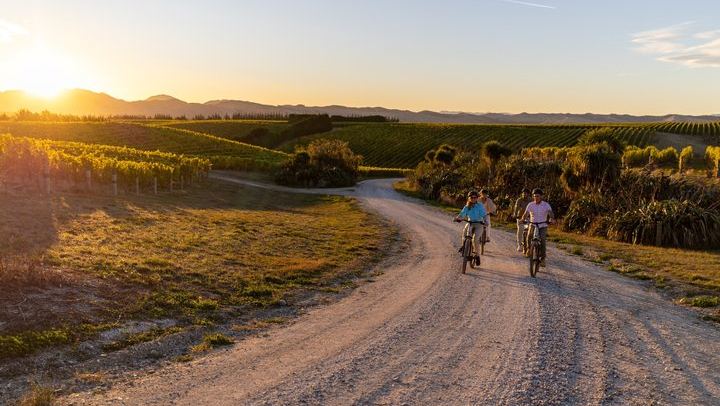 Guided Morning, Self-Guided Afternoon Bike Wine Tour from Rapaura, Marlborough (4/8)