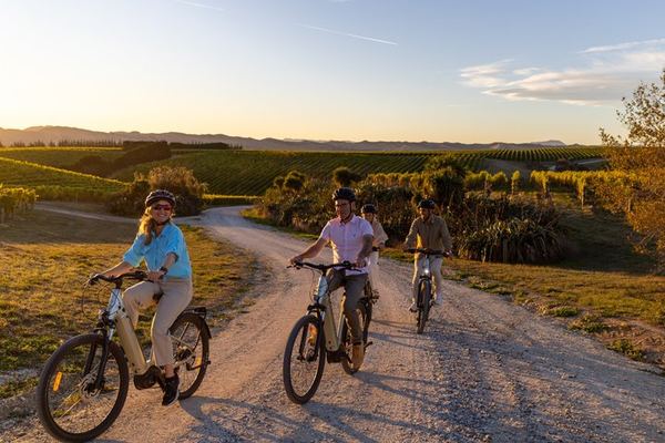 Guided Morning, Self-Guided Afternoon Bike Wine Tour from Rapaura, Marlborough