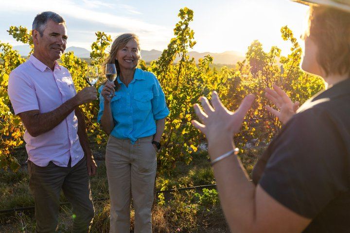 Guided Morning, Self-Guided Afternoon Bike Wine Tour from Rapaura, Marlborough (1/8)