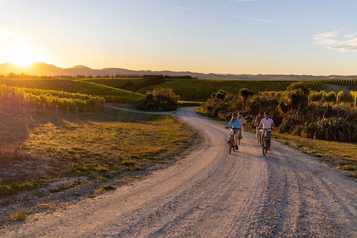 Guided Morning, Self-Guided Afternoon Bike Wine Tour from Rapaura, Marlborough (4/8)