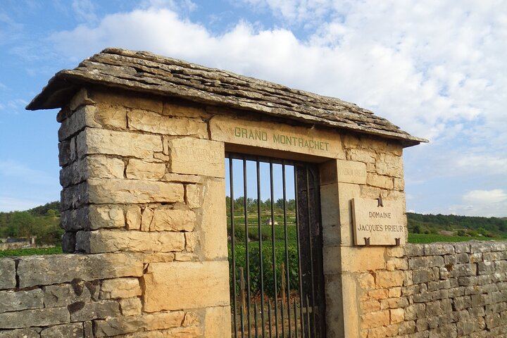 Private Côte d'Or Wine Tasting Tour Between Dijon and Beaune with Pickup (11/12)