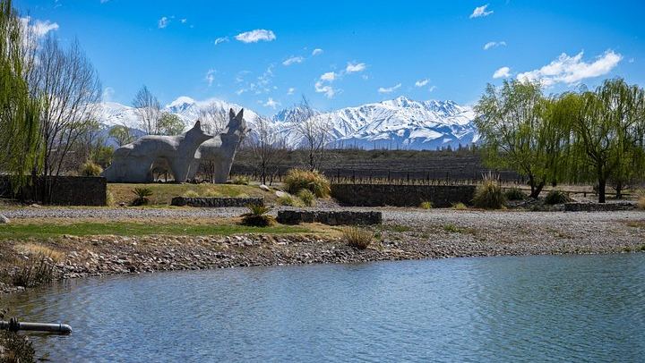 Huentala Wines Gualtallary Lunch: Group Shuttle from Mendoza with Wine Pairing (4/8)