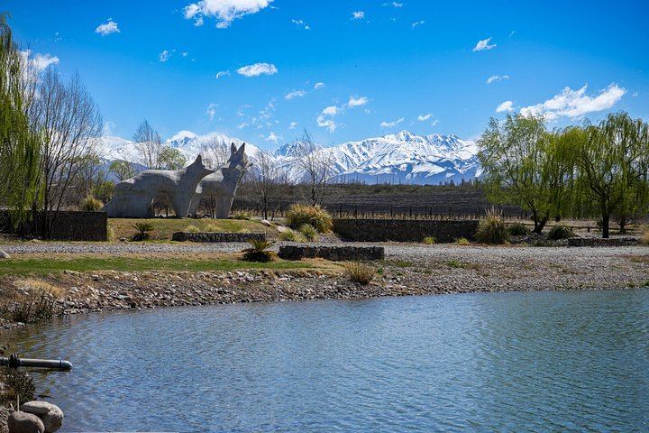 Huentala Wines Gualtallary Lunch: Group Shuttle from Mendoza with Wine Pairing (4/8)