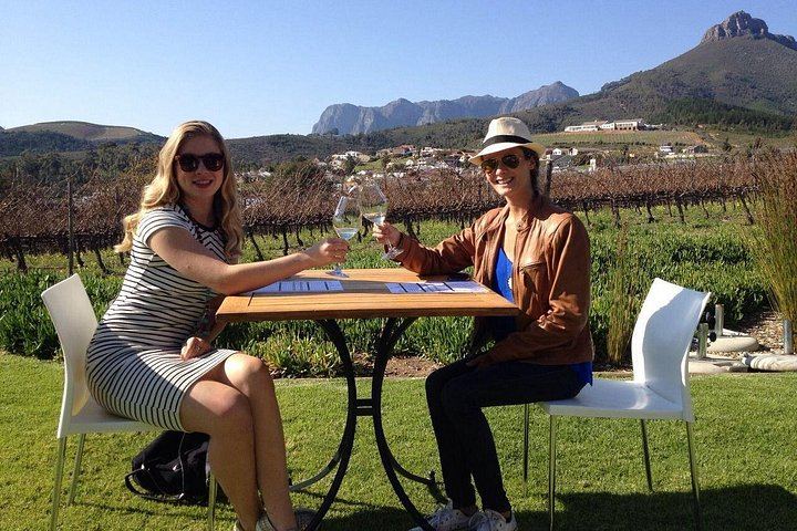 Stellenbosch Small-Group Wine Tour, Max 8 Guests, Changing Daily Route (4/12)