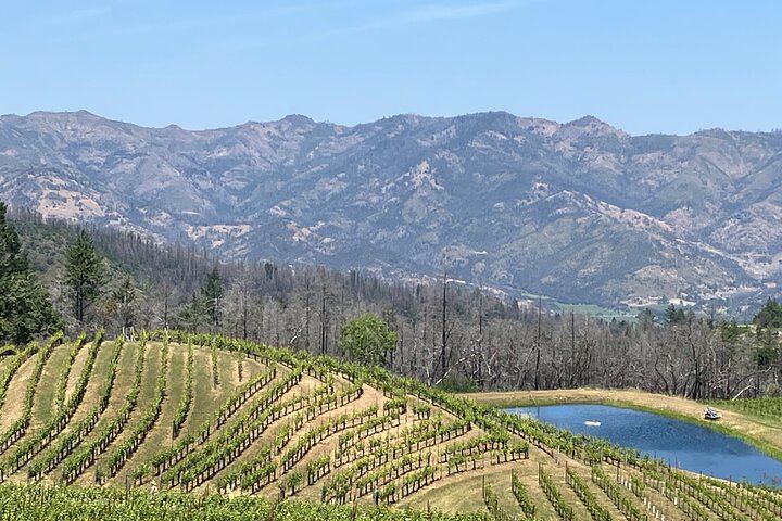 Private Napa or Sonoma Wine Tour in a New Luxury Van for Groups of Up to 8 (5/12)