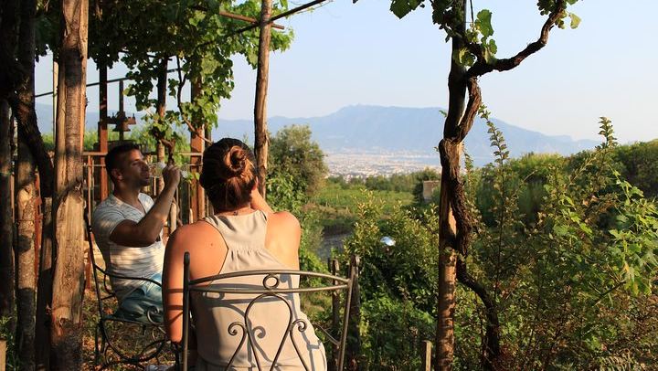 Boscotrecase Family Winery on Vesuvius: Vineyards, Farm-Tool Museum, Four Wines and Lunch (1/12)