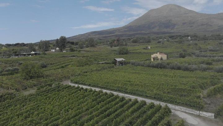 Boscotrecase Family Winery on Vesuvius: Vineyards, Farm-Tool Museum, Four Wines and Lunch (3/12)
