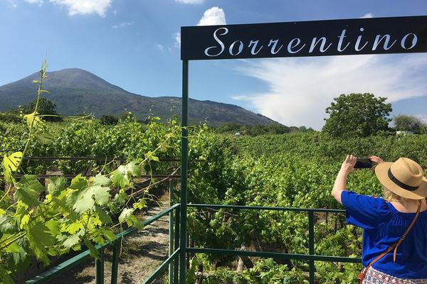 Boscotrecase Family Winery on Vesuvius: Vineyards, Farm-Tool Museum, Four Wines and Lunch