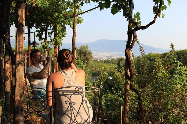 Boscotrecase Family Winery on Vesuvius: Vineyards, Farm-Tool Museum, Four Wines and Lunch (1/12)