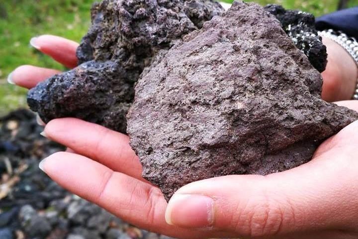 Boscotrecase Family Winery on Vesuvius: Vineyards, Farm-Tool Museum, Four Wines and Lunch (5/12)