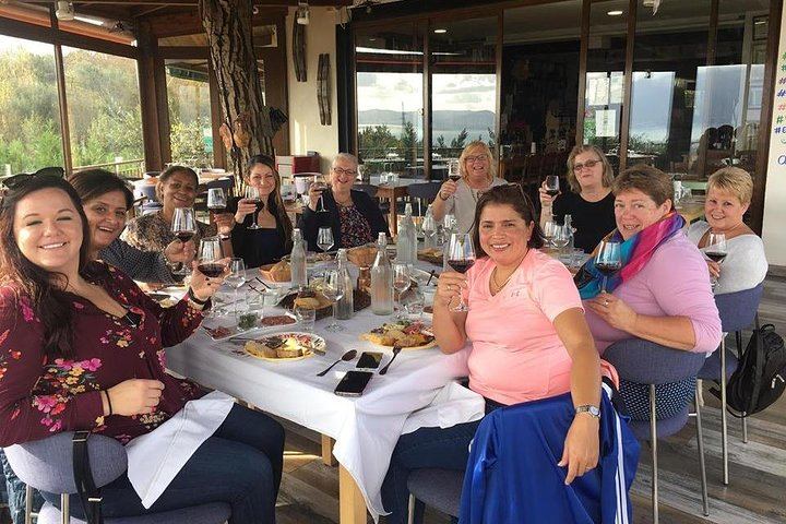 Boscotrecase Family Winery on Vesuvius: Vineyards, Farm-Tool Museum, Four Wines and Lunch (10/12)